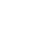 Sisu