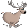 Deer - deer - deer