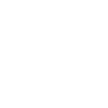 Ninja warrior