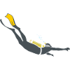 Diver