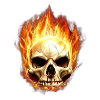 skull