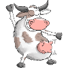 Funny, dancing bull