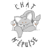 chat m'épuise