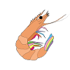 shrimp
