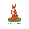 I love foxes