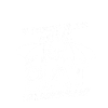 Bats nocturnal mammals