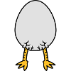 Chick In Egg