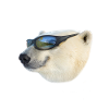 Global opvarmning Isbjørn Is global opvarmning