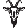 Goat Goat Animalis