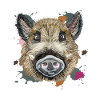 Head of wild illustration