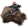 Quad Driver #250