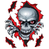 Skull