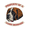 Saint-bernard