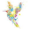 Hummingbird graffiti