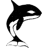 Funny whale