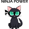 Ninja Warrior - Ninja Power