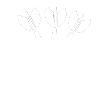 Dart arrow