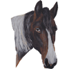 cheval