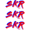 Skr Skr Skr