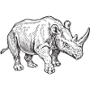 rhino