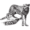 Leopard gift