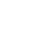 V8 engine