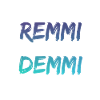 Remmi Demmi. partie. festival. chahut.