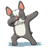 Dabbing French Bully French Bulldog