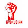 Kyokushinkai Fist