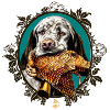 setter_and_woodcock