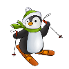 Ski fahren