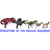 Evolution of the Belgian Malinois