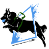 Flyball