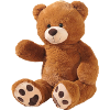 Teddy