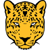 leopards wild animal 30