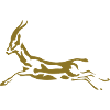gazelle saute jump animal sauvage2