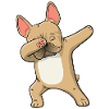 Bouledogue français