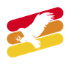 Eagle, falcon, bird