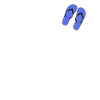 Flip flops