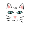 chat