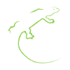 Lizard
