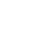 Koala bear