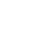 White seagull