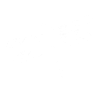 Dragonfly (White)