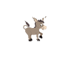Donkey