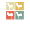 Donkey