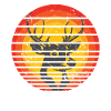 Deer forest animal