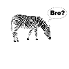 Frère Zebra Crosswalk