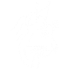 Lynx