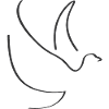 Dove outline